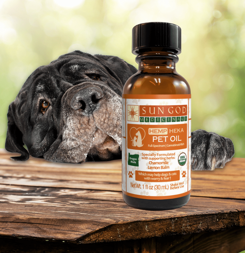 Hemp Pet Products Organic Pet Oils Sun God Medicinals