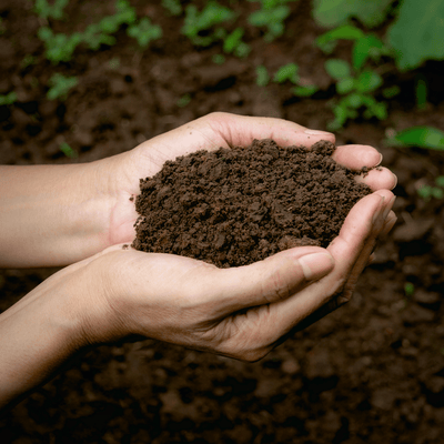 How Composting Helps Ensure Healthy Soil