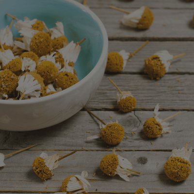 Supporting Your Immune System with Traditional Herbalism