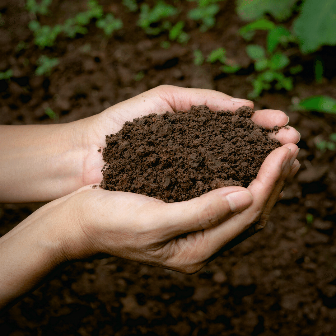 Blog Post: DIY composting is a way you can help the planet at home.