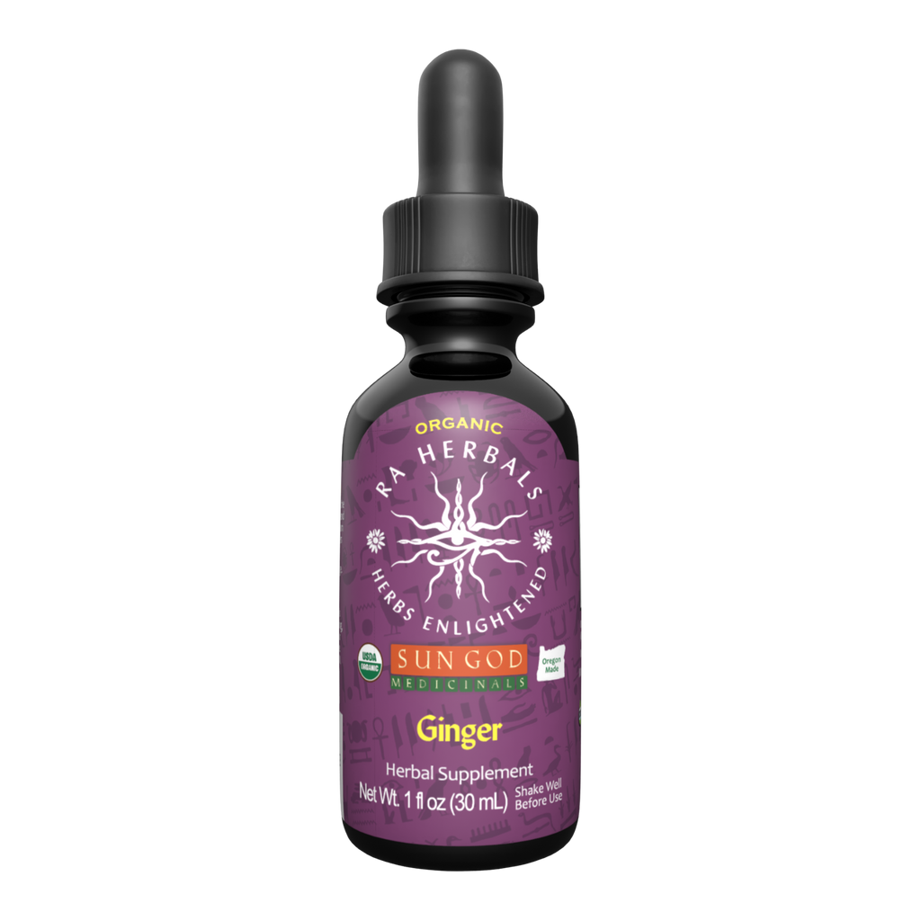 Organic Ginger Rhizome Extract | Sun God Medicinals