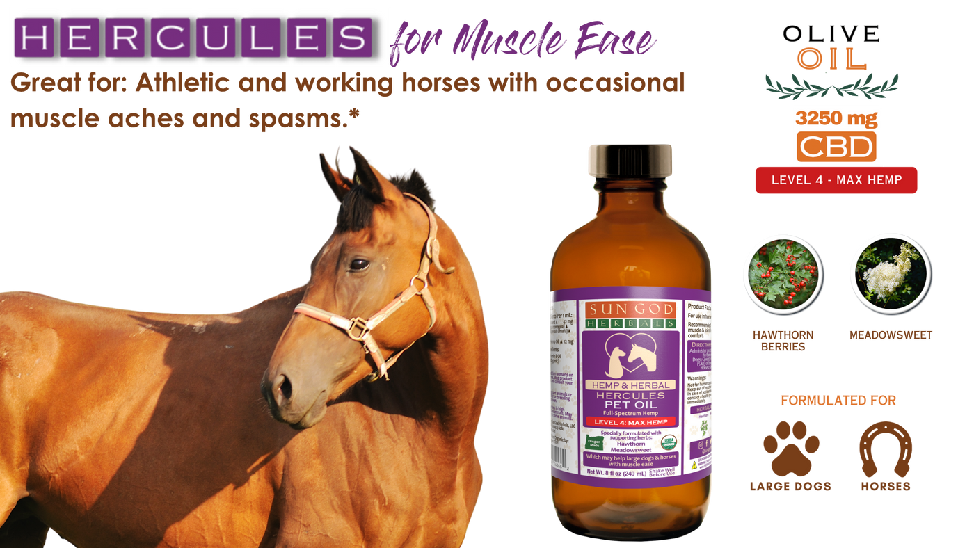 Organic Hercules Muscle Relief Hemp Pet Oil-Level 4 Max Hemp: for Horses and Large Dogs