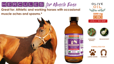Organic Hercules Muscle Relief Hemp Pet Oil-Level 4 Max Hemp: for Horses and Large Dogs
