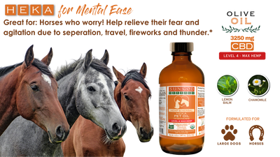 Organic Heka Mental Ease Hemp Pet Oil-Level 4 Max Hemp: for Horses and Large Dogs