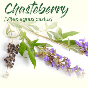 Medicinal Herb Spotlight: Chasteberry