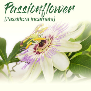 Medicinal Herb Spotlight: Passionflower