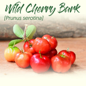 Medicinal Herb Spotlight: Wild Cherry