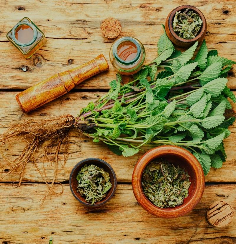 Free herbal education - Learn more about the right herbs for your needs. We blend over 40 medicinals herbs native to Oregon into safe and effective herbal products. 