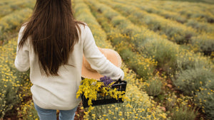 The suppliers we use at Sun God Medicinals align with our core values around quality and sustainability. We would love to introduce you to these amazing companies which helps us fulfill our mission to bring herbs to the people!