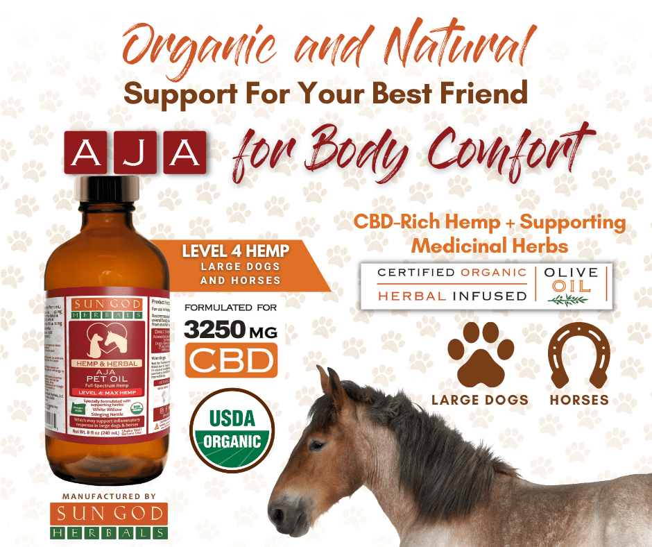 Organic Aja Body Relief Hemp Pet Oil-Level 4 Hemp: for Large Dogs and Horses - Sun God Medicinals