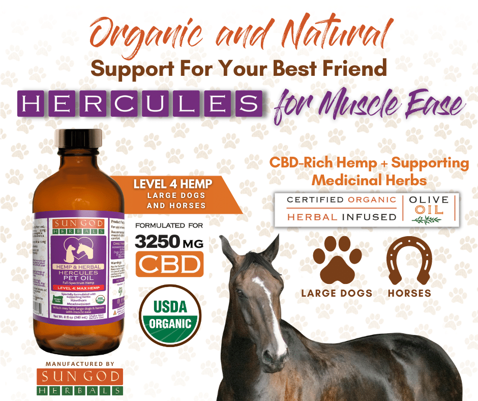 Organic Hercules Muscle Relief Hemp Pet Oil-Level 4 Hemp: for Large Dogs and Horses - Sun God Medicinals