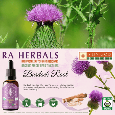 Ra Herbals Certified Organic Burdock Root Tincture - Sun God Medicinals