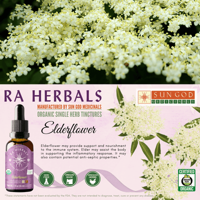 Ra Herbals Certified Organic Elderflower Tincture - Sun God Medicinals