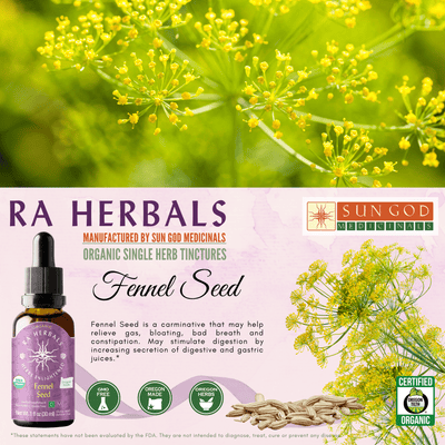 Ra Herbals Certified Organic Fennel Seed Tincture - Sun God Medicinals