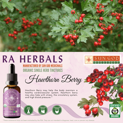 Ra Herbals Certified Organic Hawthorn Berry Tincture - Sun God Medicinals