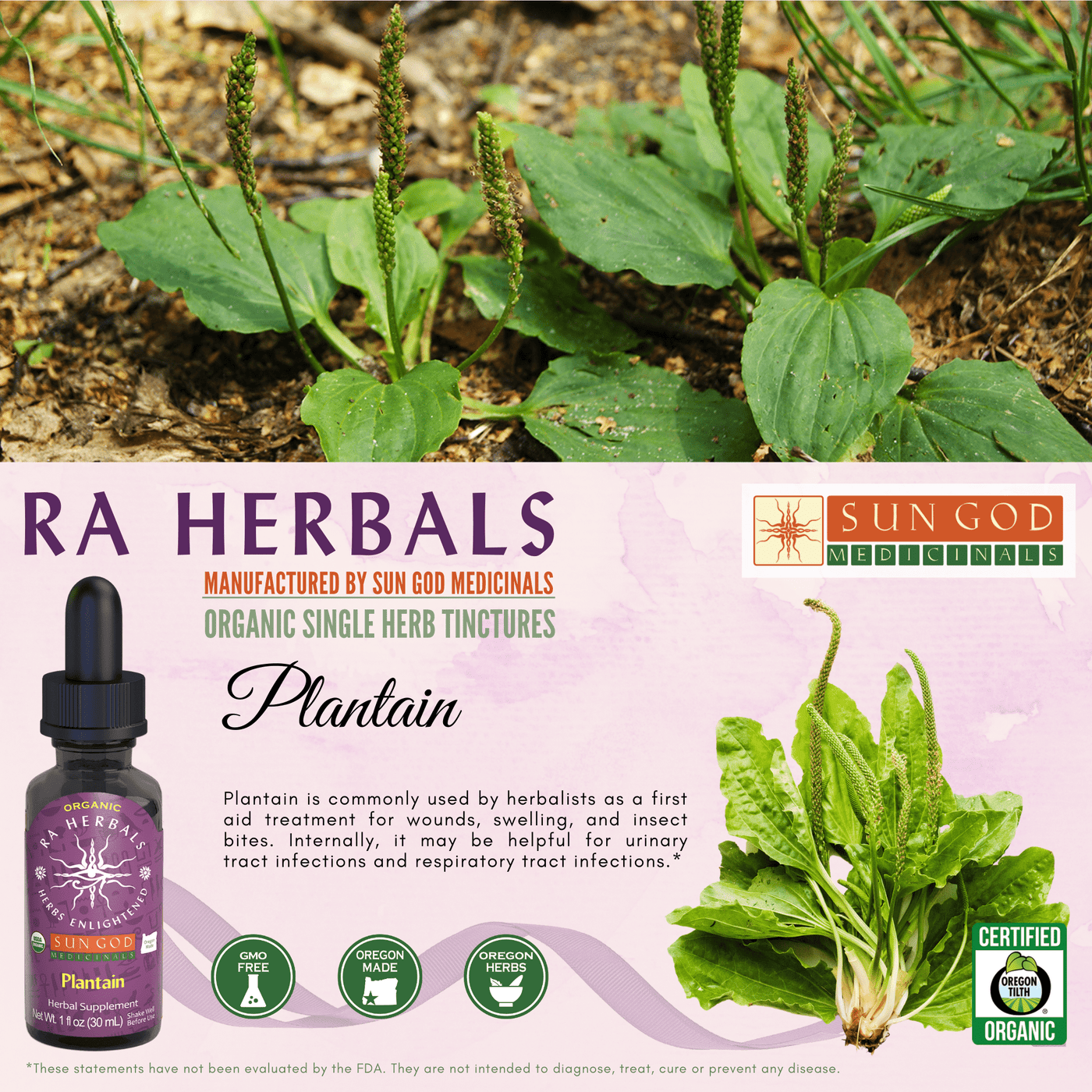 Ra Herbals Certified Organic Plantain Tincture - Sun God Medicinals
