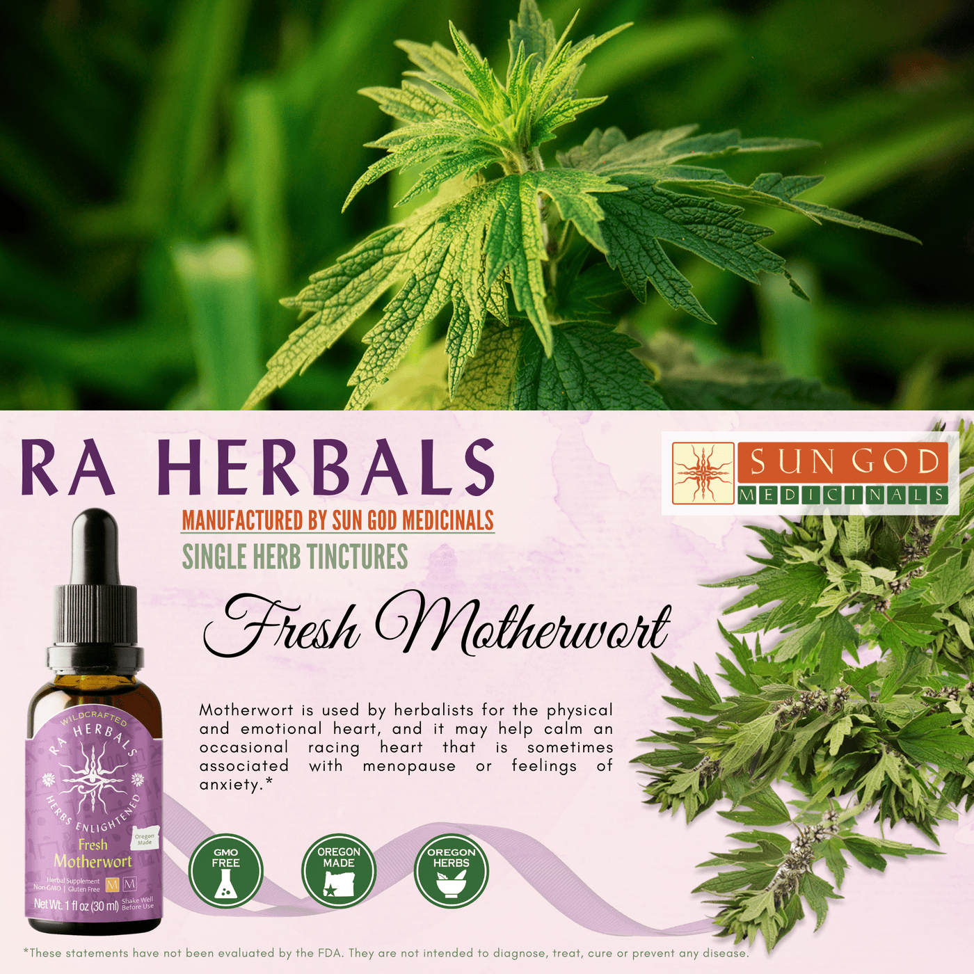 Ra Herbals Fresh Motherwort Tincture - Sun God Medicinals